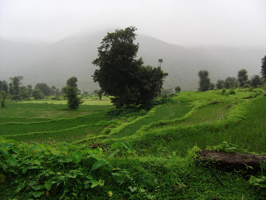 Konkan mansoon Photograph by Asmita Sakpal - Fine Art America