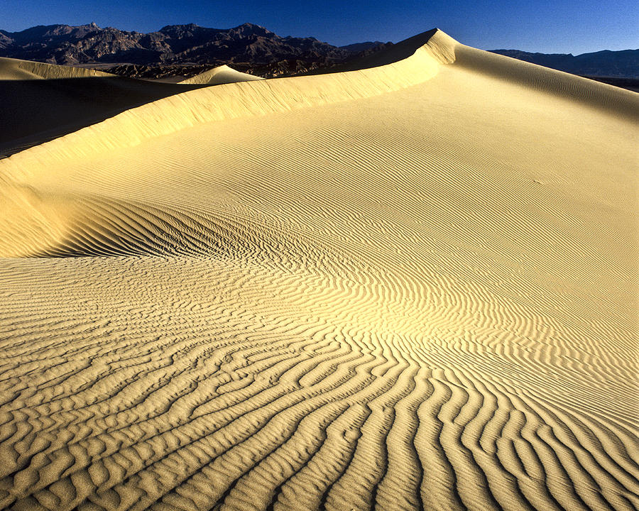 Sand Dune  Death Valley #1 Photograph by Joe  Palermo