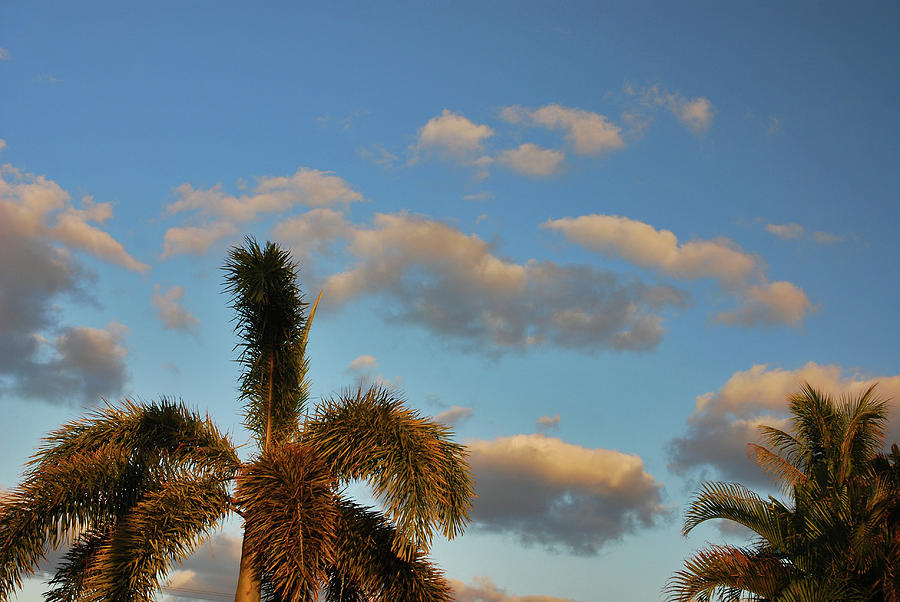 9- Tropical Sky Photograph by Joseph Keane