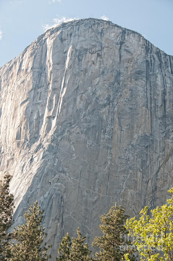 Yosemite #9 Digital Art by Carol Ailles