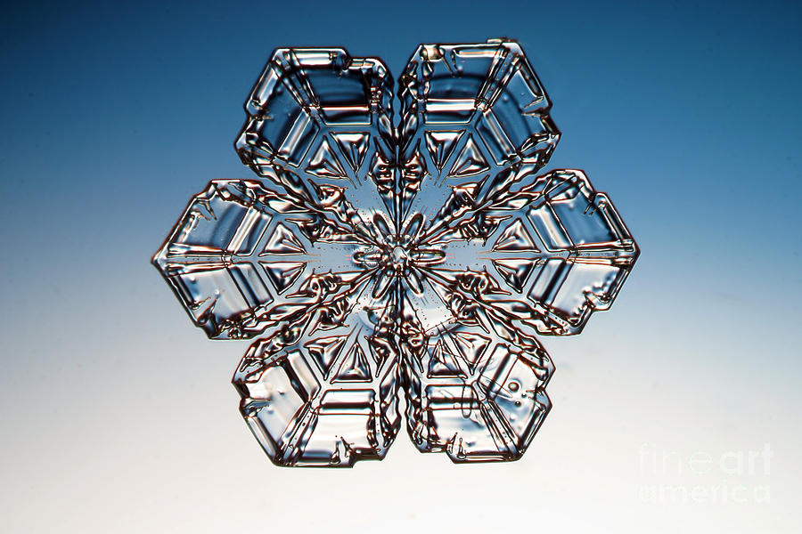 Winter Photograph - Snowflake #91 by Ted Kinsman