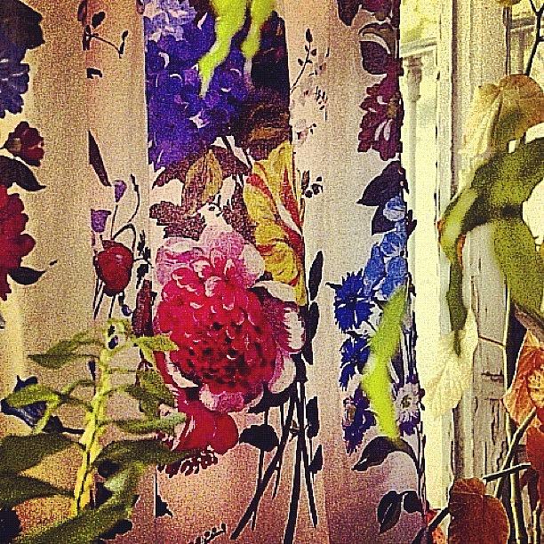 Pattern Photograph - Instagram Photo #921342603177 by Tommy Tjahjono Pattern Photograph - Instagram Photo #921342603177 by Tommy Tjahjono