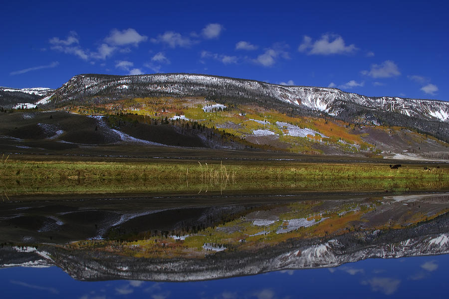 Rocky Mountain Fall #95 Photograph by Mark Smith