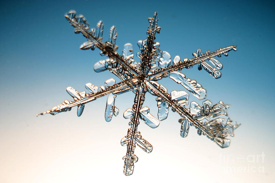 Winter Photograph - Snowflake #96 by Ted Kinsman