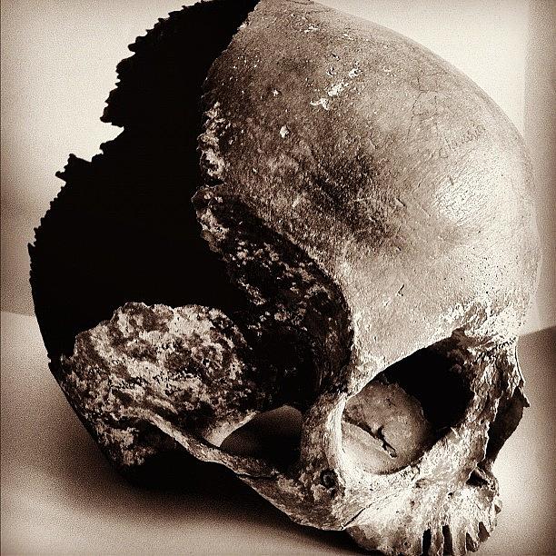 Skull Photograph - Instagram Photo #961344201387 by Sundar Kanchibhotla