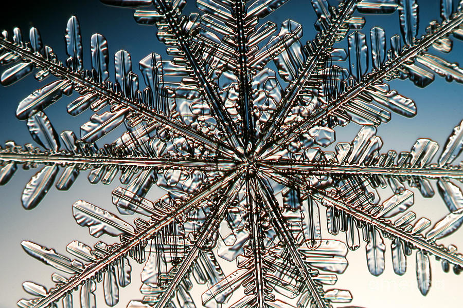 Snowflake #98 Photograph by Ted Kinsman