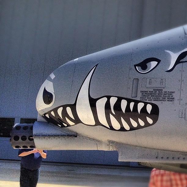 Aviation Photograph - A-10 Warthog Side On #aviation by Simon Prickett