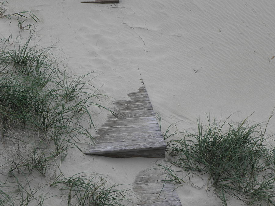 A Beach Pathway Photograph by Kim Galluzzo