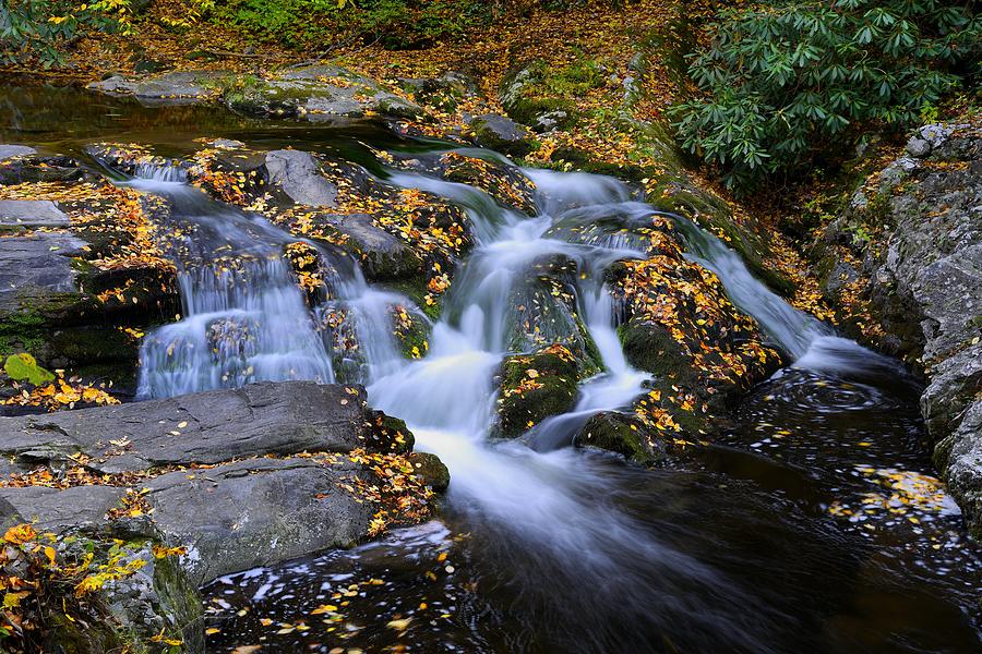 A Beautiful Cascade in Great Smoky Mountains Photograph by Darrell Young