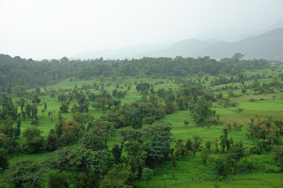 A beautiful green countryside Photograph by Ashish Agarwal