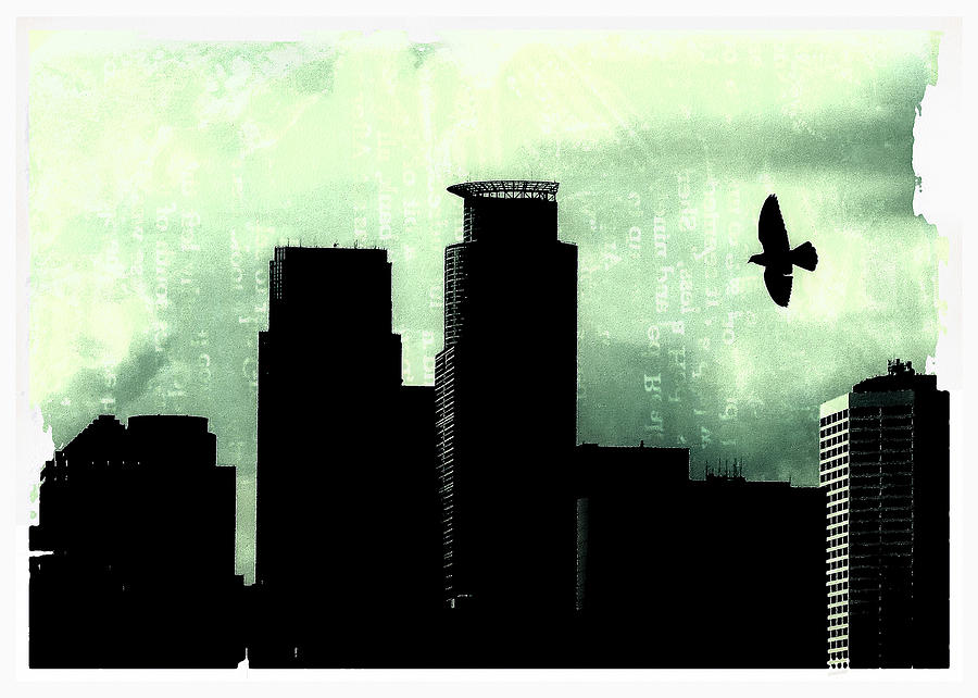 A Bird Over Minneapolis Digital Art by Susan Stone