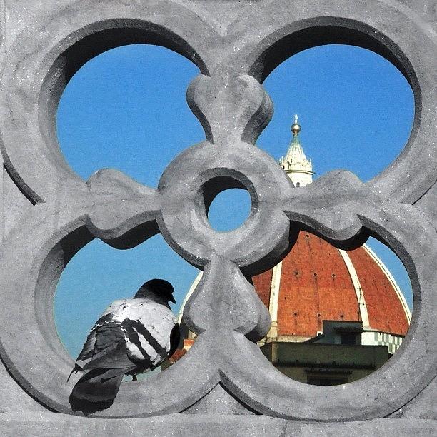 Vueling Photograph - A Birds Eye View Of Florence by Andres De Leon