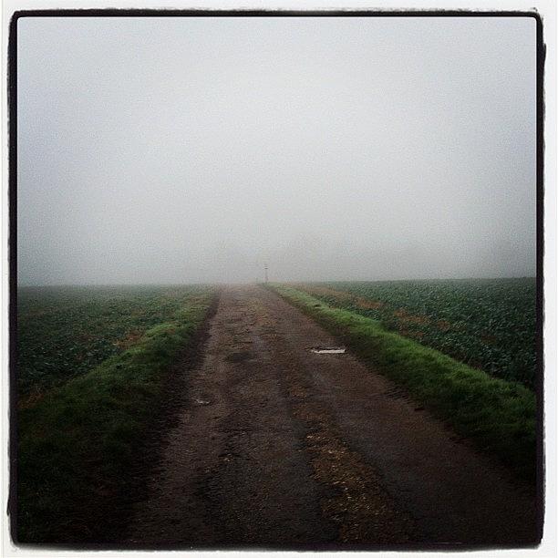 A Bit Foggy This Morning Photograph by Josh Young
