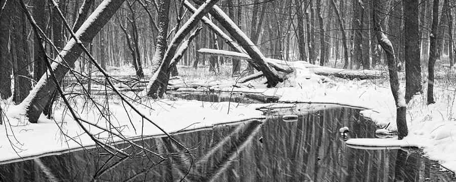 A black and white panoramic photo of a stream in a winter snow storm Photograph by Randall Nyhof