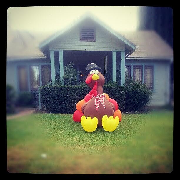 Turkey Photograph - A #blowup #turkey, Really? #thanksgiving by Lisa Marchbanks