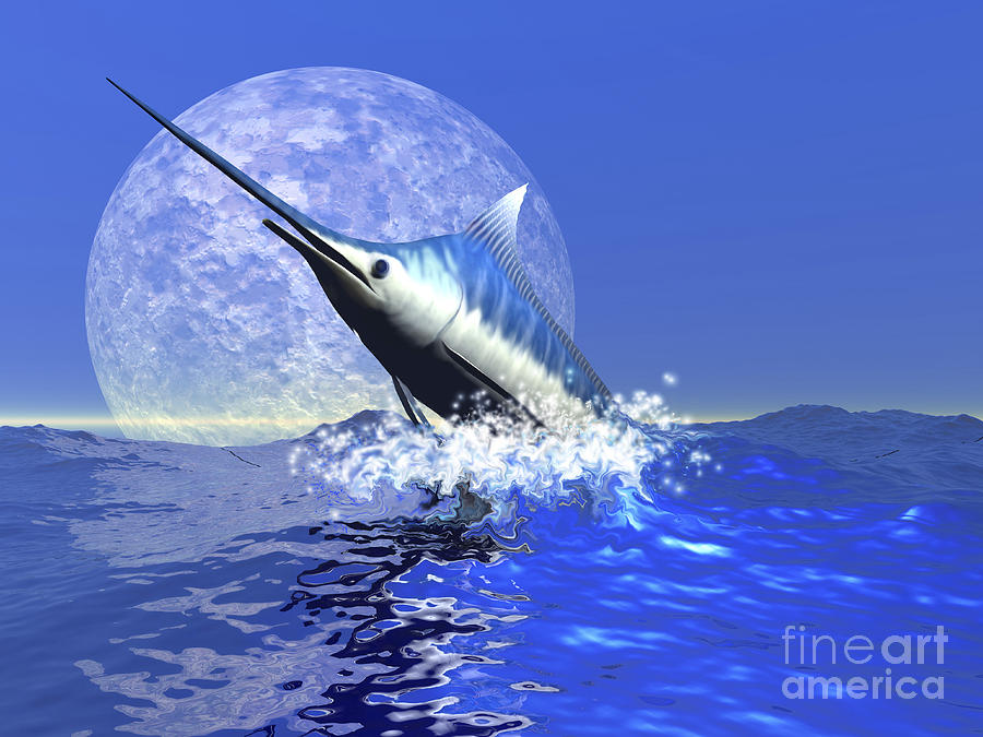 Fish Digital Art - A Blue Marlin Bursts From The Ocean by Corey Ford