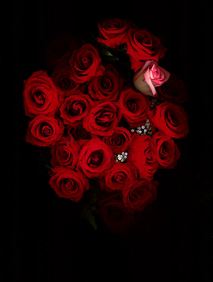 A Bouquet Of Red Roses Photograph by Kenneth Ginn