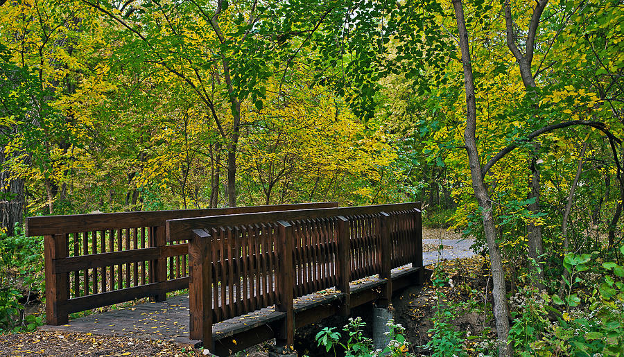 A Bridge In The Woods Photograph by Ed Peterson