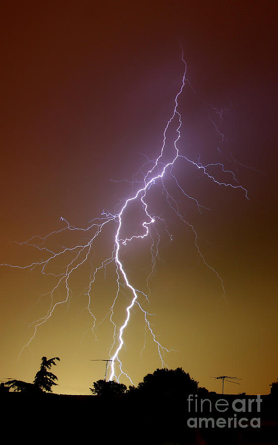 A Bright Bolt Of Lightning Photograph by Luis Argerich - Fine Art America