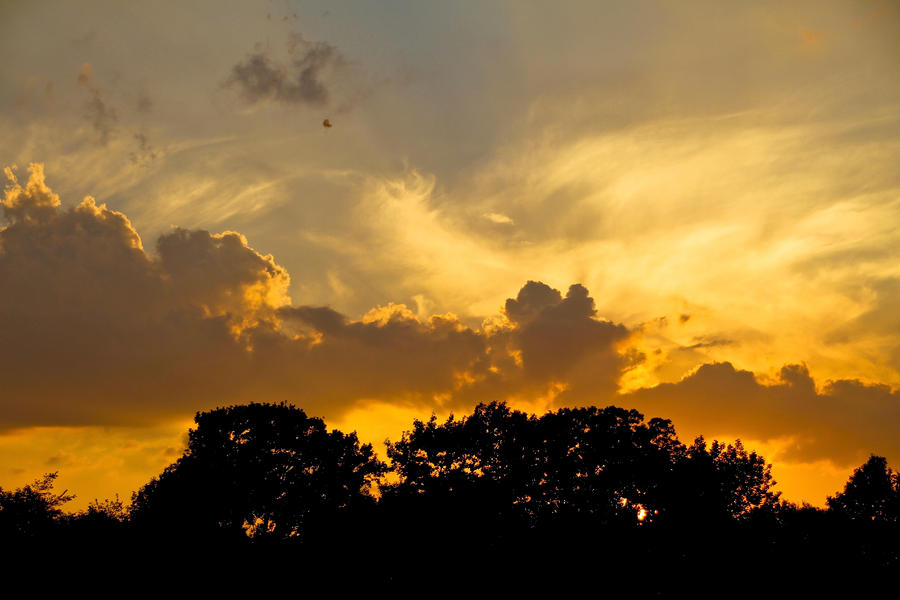 A Brilliant Sunset Photograph by Wayne Stabnaw - Fine Art America