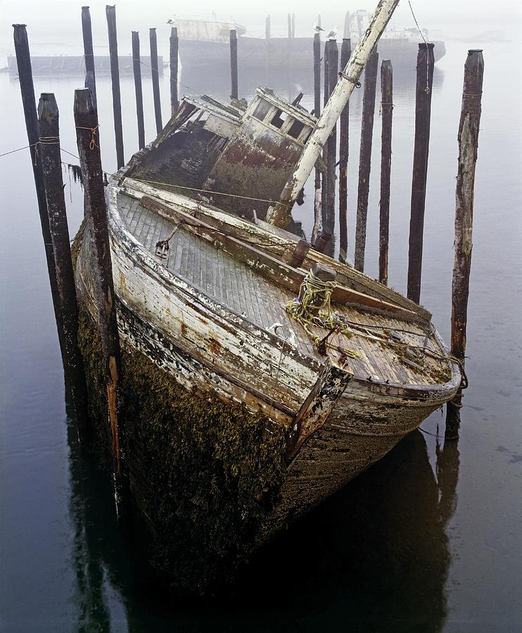 A Broken Boat Photograph by David Chapman