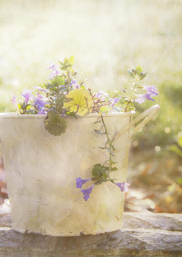 A Bucket for Spring Photograph by Straublund Photography - Fine Art America