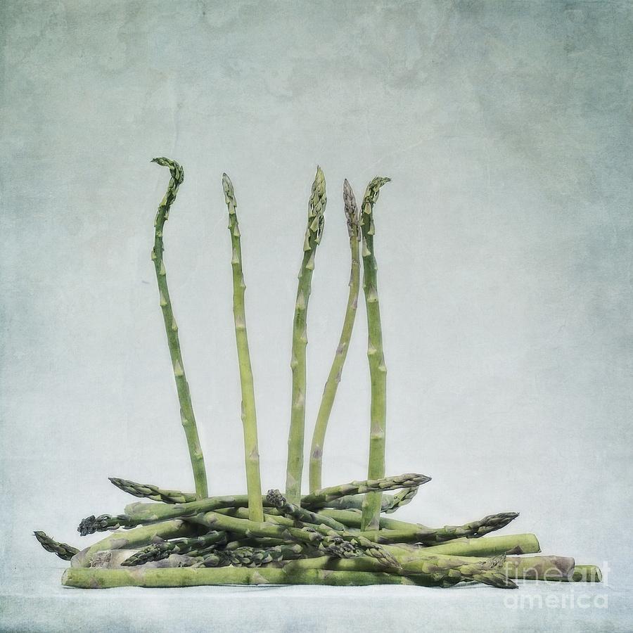 Asparagus Photograph - A Bunch Of Asparagus by Priska Wettstein