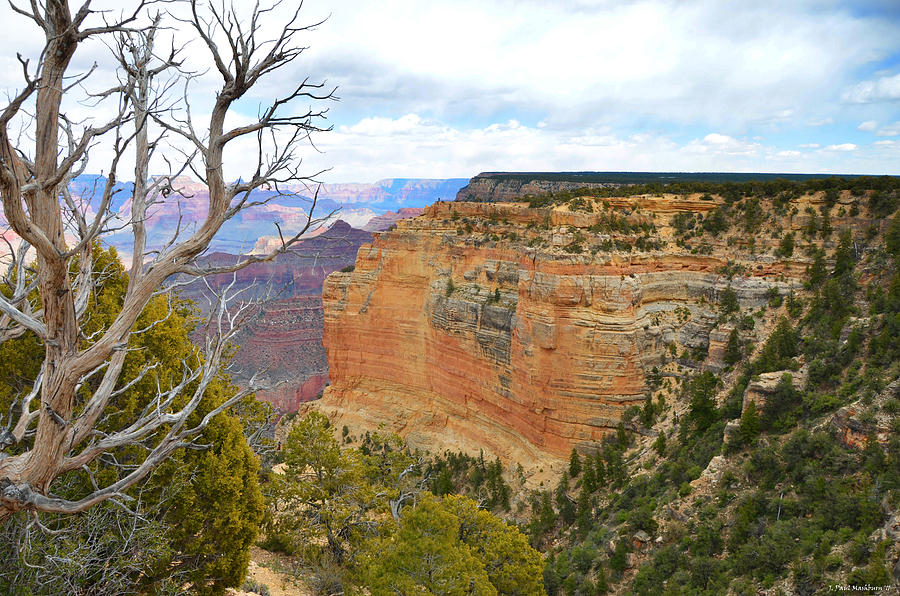 A Canyon View Photograph by Paul Mashburn