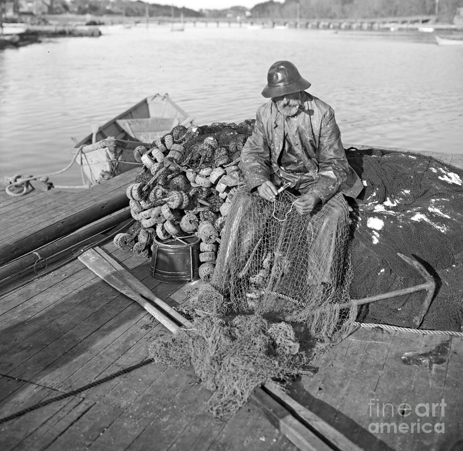 A Cape Ann Fisherman in Gloucester 1905 Photograph by Padre Art