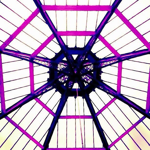 A Ceiling Umbrella, Or An Urban Spider Photograph by Koffee Kottage