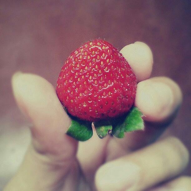 A Closer Shot Of A Strawberry
freshly Photograph by Jona rica Serva