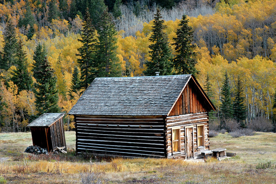 A Colorado Cabin Photograph by Dave Mills | Fine Art America