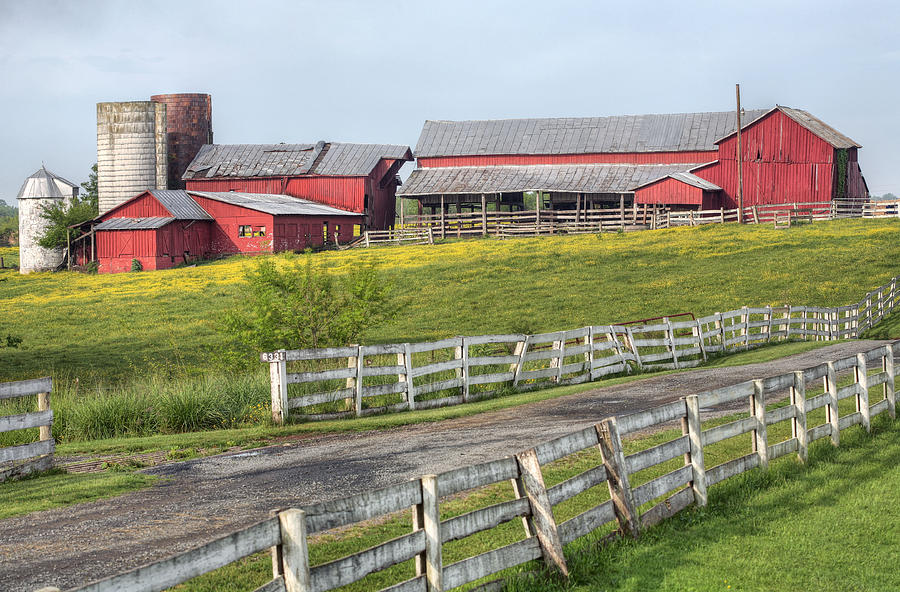 A Country Driveway Photograph by JC Findley