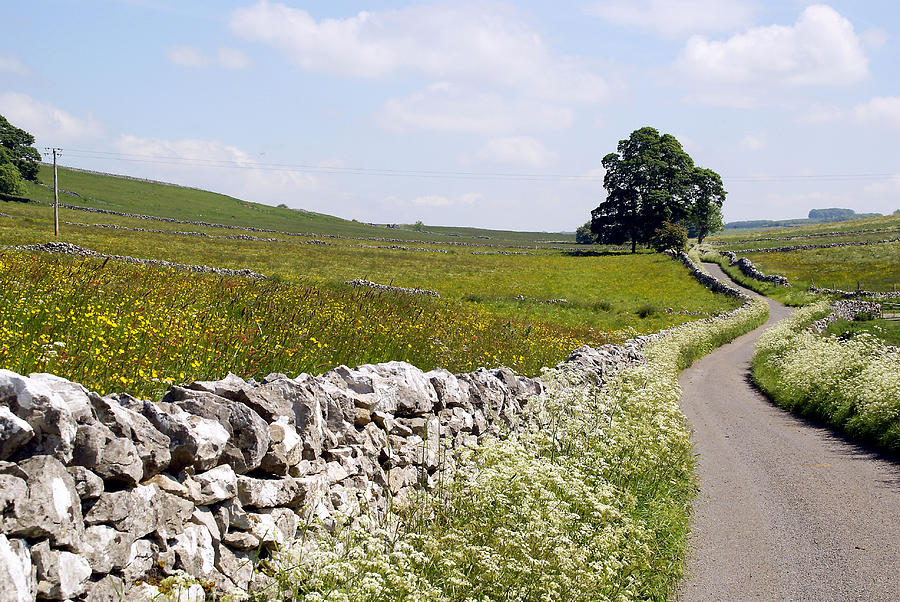 A country road in the English Peak District Photograph by Rod Jones