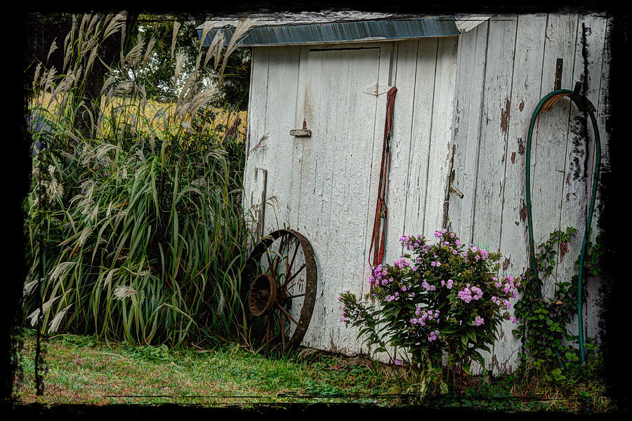 A Country Shed Photograph by Janice Adomeit