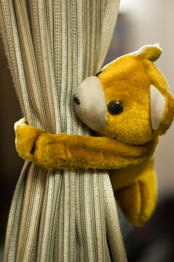 A curtain with a cute stuffed toy Photograph by Ashish Agarwal