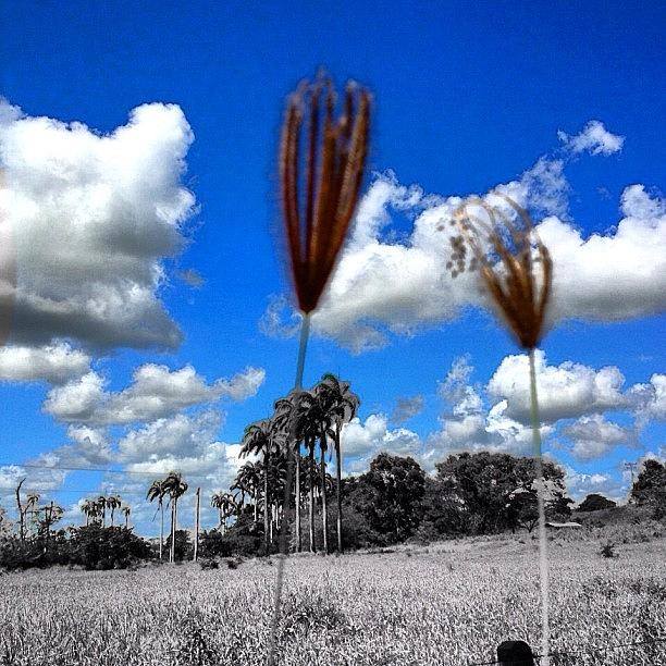 Instagram Photograph - A Day In The Farm by OpɹᏌnpǝ 