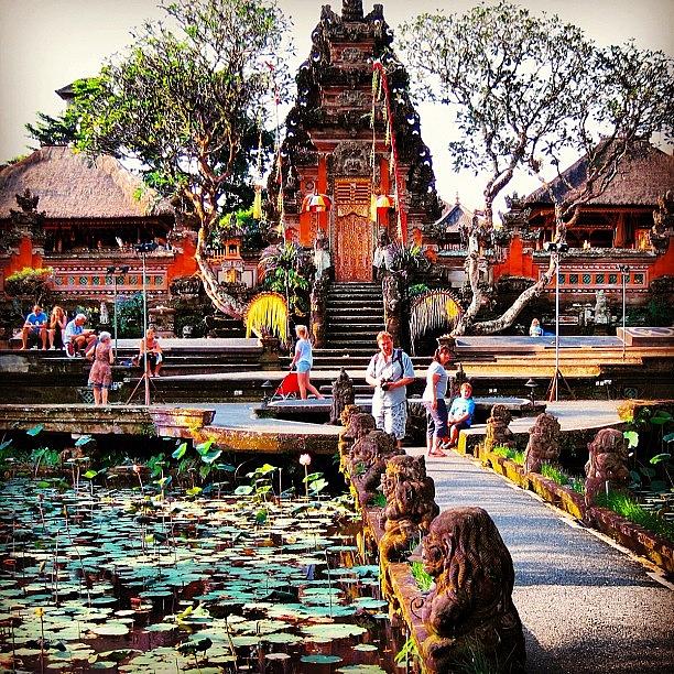 Nature Photograph - A Day In Ubud #bestoftheday #vibrant by Brenda Wan