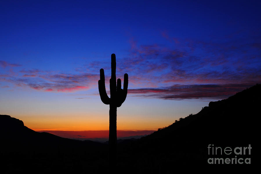 Sunset Photograph - A Desert Sunset by Vivian Christopher