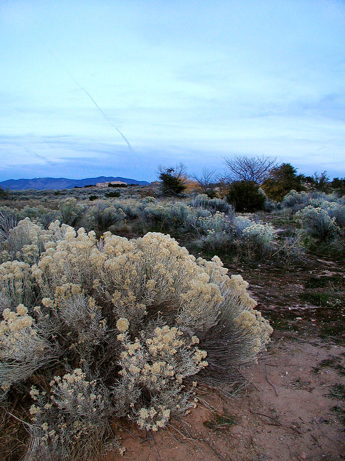 A Desert View after Sunset Photograph by Kathleen Grace