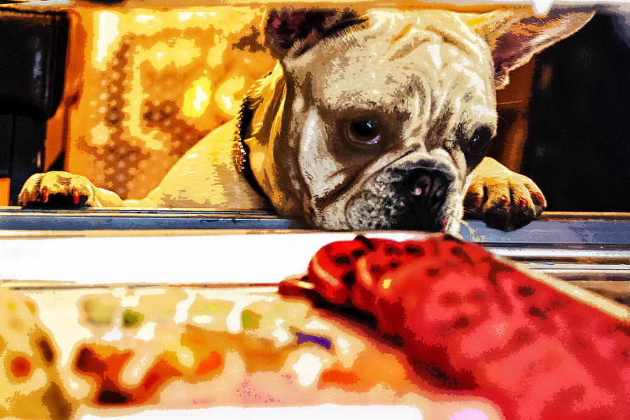 A Dog and his Cookies Digital Art by Susan Stone