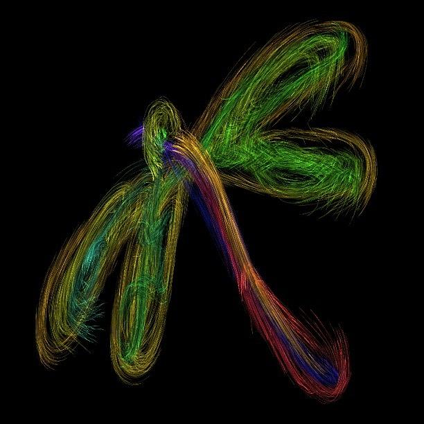 A Dragonfly Drawn By Me Photograph by Michael Krajnak