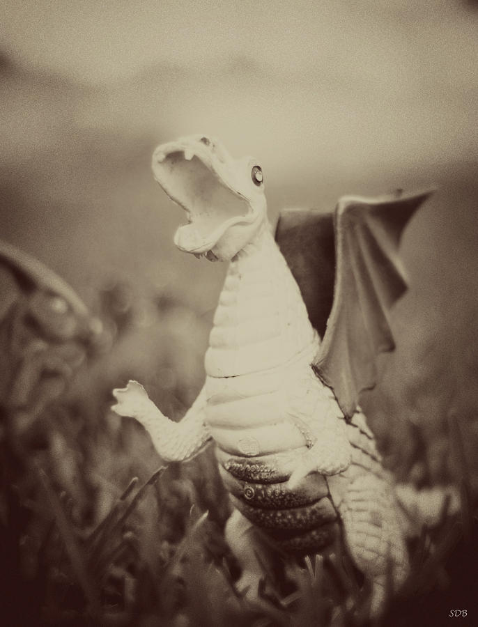 Dragon Photograph - A Dragons Tale - Series 3 by Southern Tradition