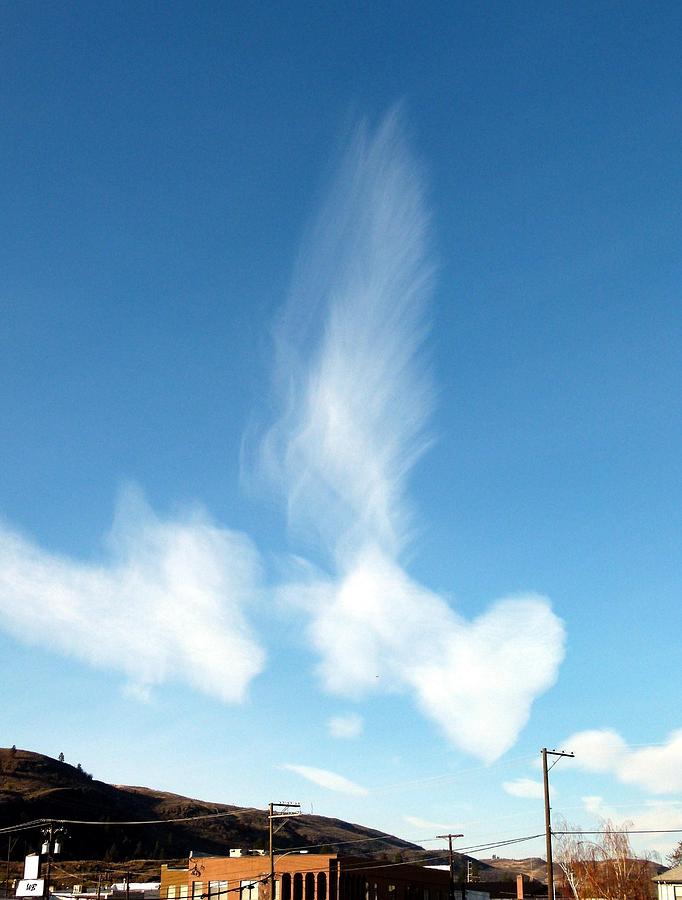 A Feather In The Sky Photograph