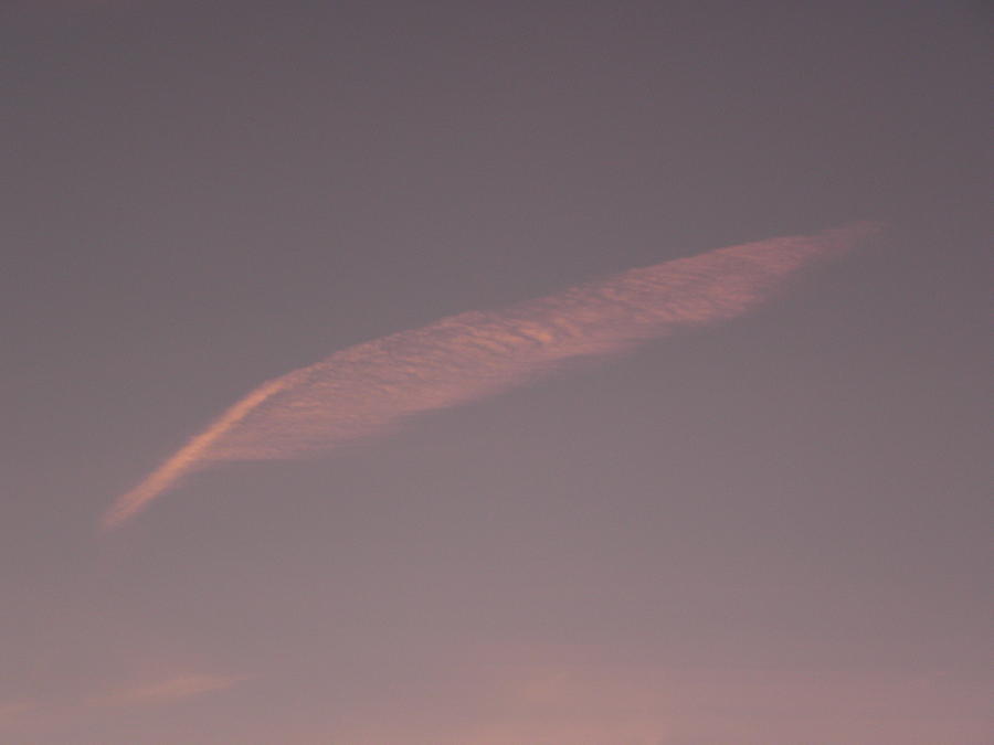 A Feather Quill In The Sky Photograph by Kim Galluzzo Wozniak