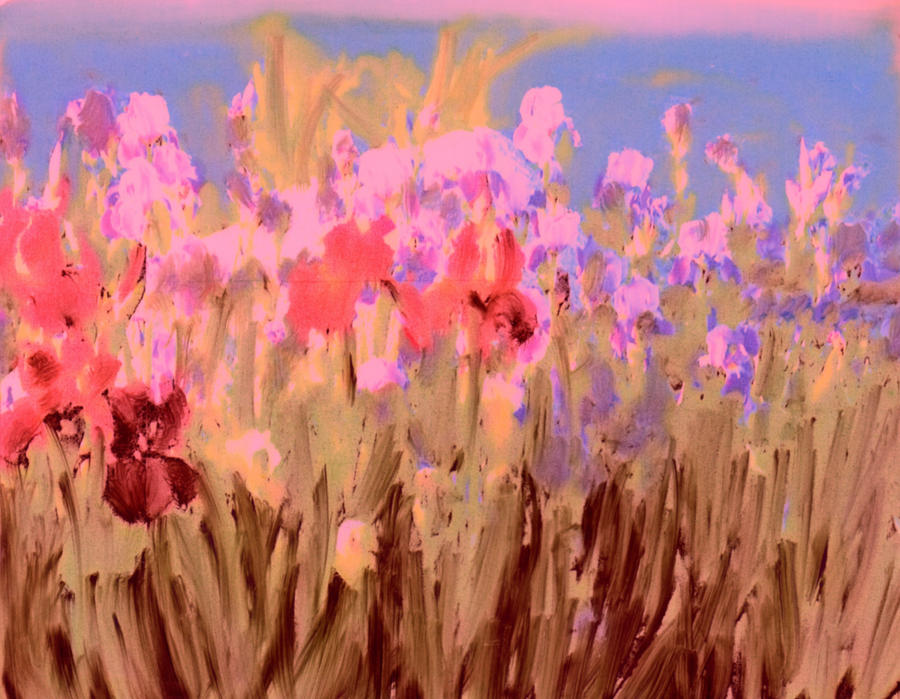 A Field of Beauty Painting by FeatherStone Studio Julie A Miller