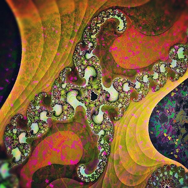 Nature Photograph - A floral fractal by Linandara Linandara