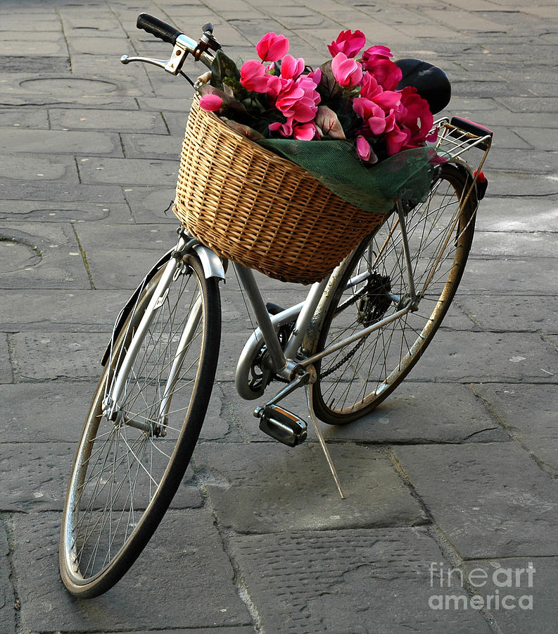 A Flower Delivery Photograph by Vivian Christopher