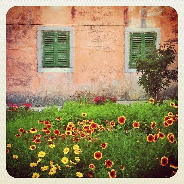 Flowery Photograph - A #flowery Scene From #labin #croatia by Marianne Hope