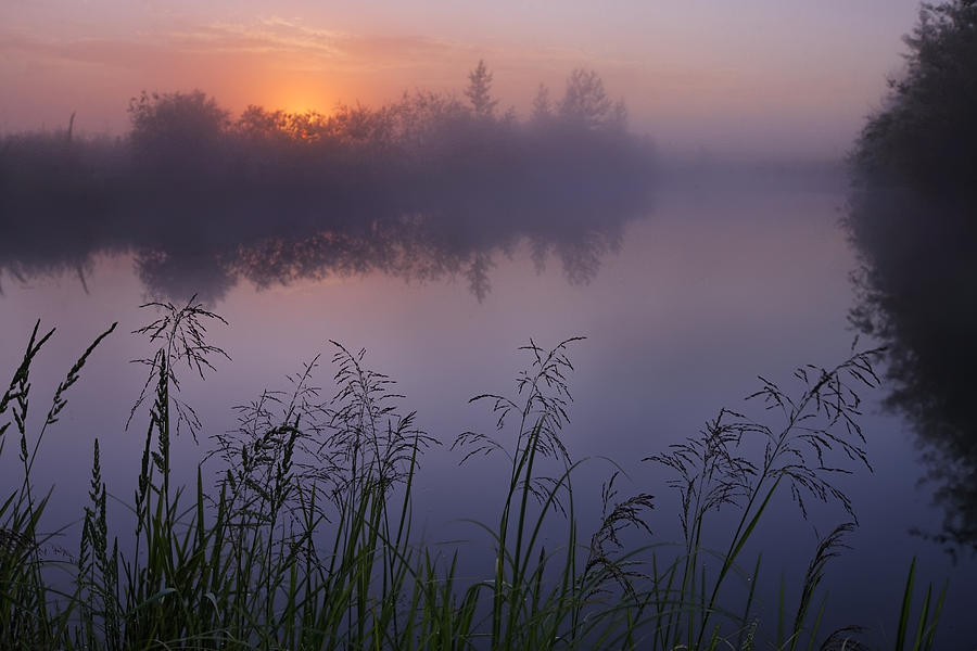 A Foggy Summer Sunrise On A Prairie Photograph by Dan Jurak